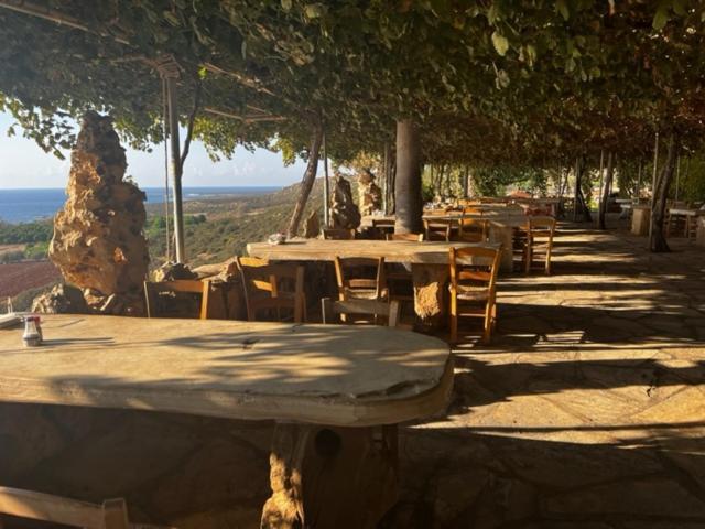 2 Palaepaphos Gardens Daire Sakarya Dış mekan fotoğraf